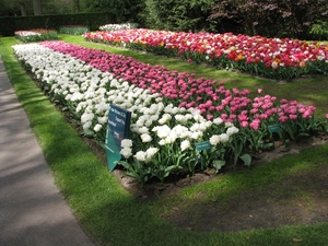 Keukenhof 23-04-2009 213