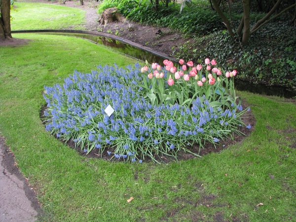 Keukenhof 23-04-2009 228