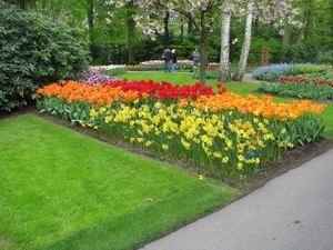 Keukenhof 23-04-2009 236