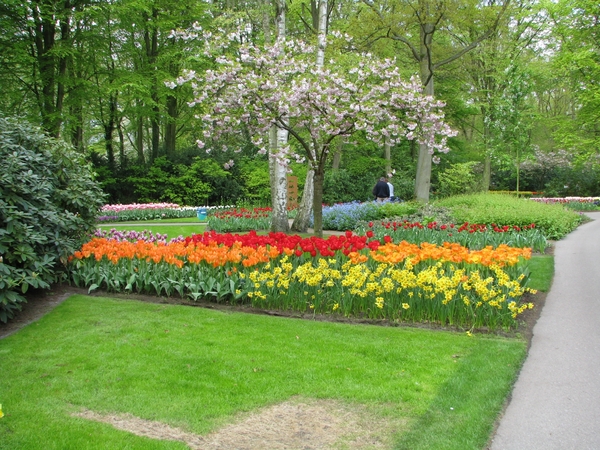 Keukenhof 23-04-2009 240