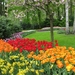 Keukenhof 23-04-2009 241