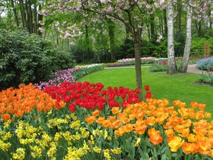 Keukenhof 23-04-2009 241