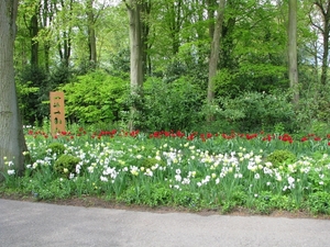 Keukenhof 23-04-2009 242