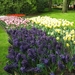 Keukenhof 23-04-2009 247