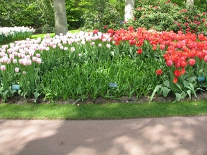 Keukenhof 23-04-2009 250