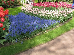 Keukenhof 23-04-2009 251