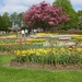 Keukenhof 23-04-2009 333