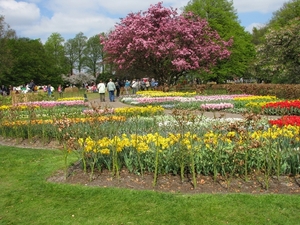 Keukenhof 23-04-2009 333