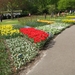 Keukenhof 23-04-2009 335