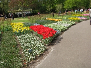 Keukenhof 23-04-2009 335