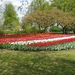 Keukenhof 23-04-2009 338