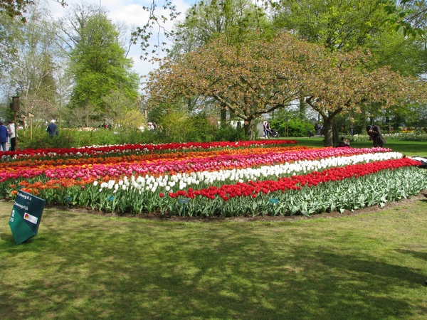 Keukenhof 23-04-2009 338