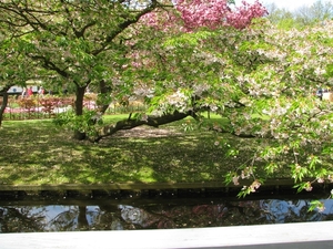 Keukenhof 23-04-2009 339