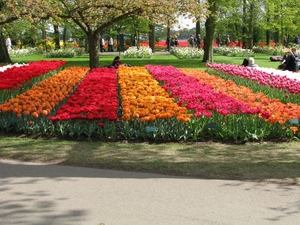 Keukenhof 23-04-2009 344