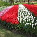 Keukenhof 23-04-2009 347