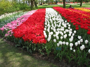 Keukenhof 23-04-2009 347