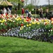 Keukenhof 23-04-2009 348