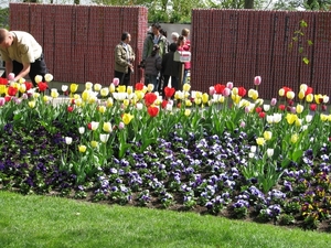 Keukenhof 23-04-2009 349