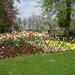 Keukenhof 23-04-2009 351