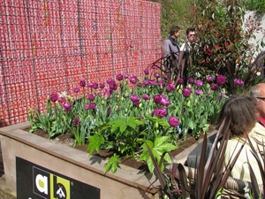 Keukenhof 23-04-2009 354