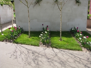 Keukenhof 23-04-2009 356