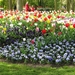 Keukenhof 23-04-2009 359