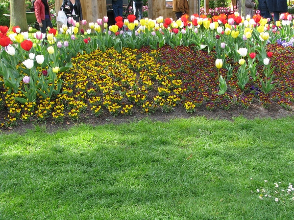 Keukenhof 23-04-2009 363