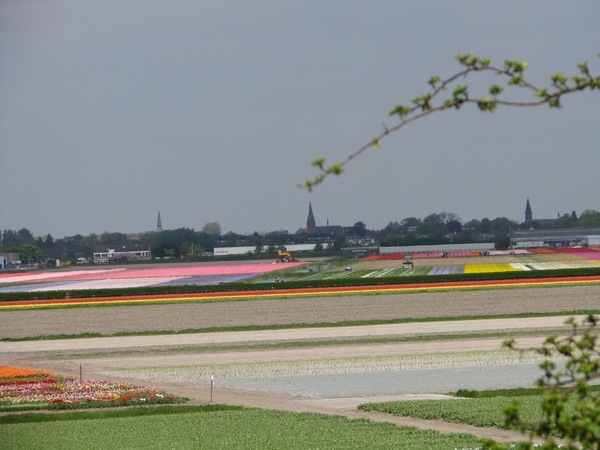 Keukenhof 23-04-2009 376