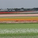 Keukenhof 23-04-2009 377