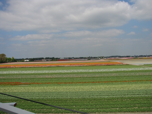 Keukenhof 23-04-2009 379