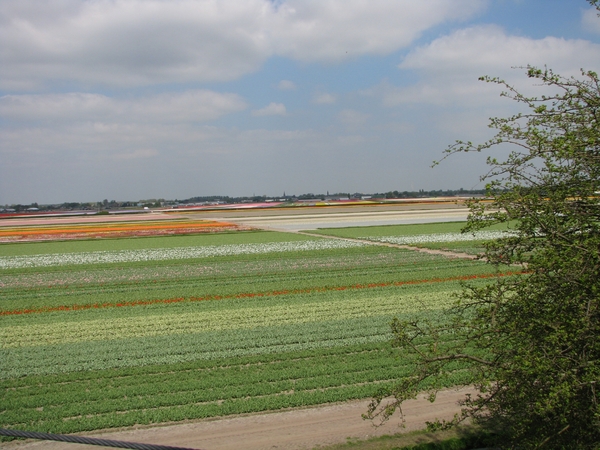 Keukenhof 23-04-2009 380