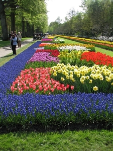 Keukenhof 23-04-2009 509