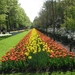 Keukenhof 23-04-2009 510