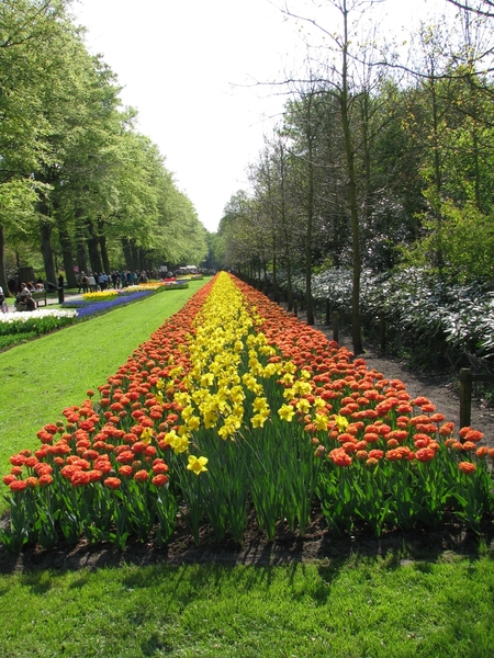 Keukenhof 23-04-2009 510