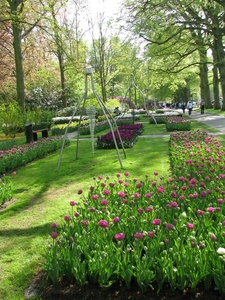 Keukenhof 23-04-2009 523