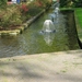 Keukenhof 23-04-2009 551