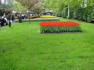 Keukenhof 23-04-2009 406