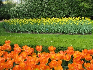 Keukenhof 23-04-2009 418