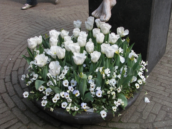 Keukenhof 23-04-2009 421