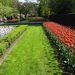 Keukenhof 23-04-2009 504