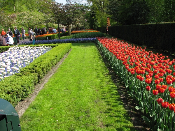 Keukenhof 23-04-2009 504