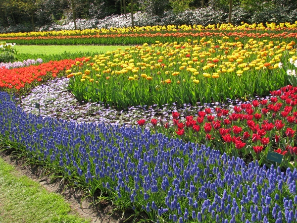 Keukenhof 23-04-2009 514