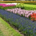 Keukenhof 23-04-2009 515