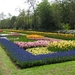 Keukenhof 23-04-2009 517