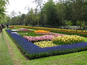 Keukenhof 23-04-2009 517