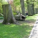 Keukenhof 23-04-2009 518