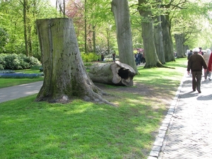 Keukenhof 23-04-2009 518