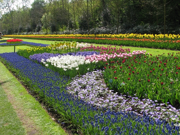 Keukenhof 23-04-2009 519