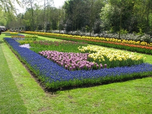 Keukenhof 23-04-2009 525