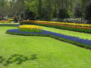 Keukenhof 23-04-2009 527